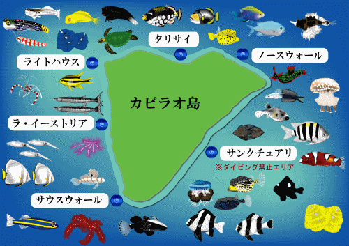 フィリピン　ボホール島　カビラオ島　主要ダイビングポイント