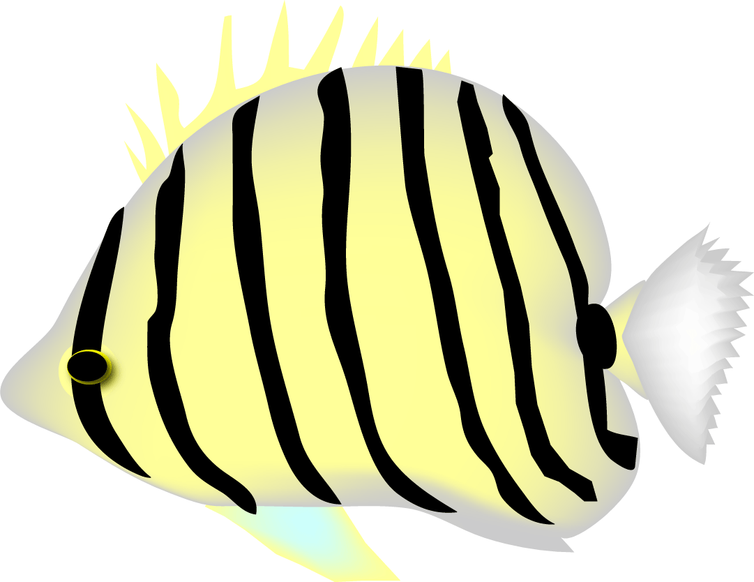 Philippines Fish