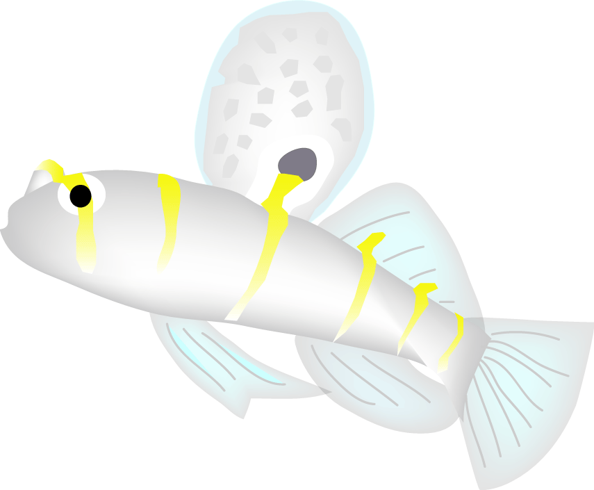 Philippines Fish